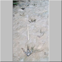 100_0705 (2009-27-07)m.JPG